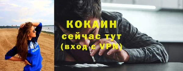 твердый Аркадак