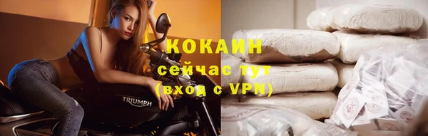 кокс Арсеньев