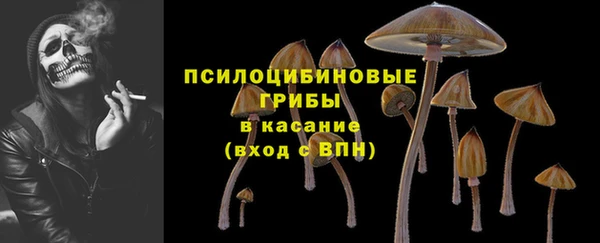 кокс Арсеньев