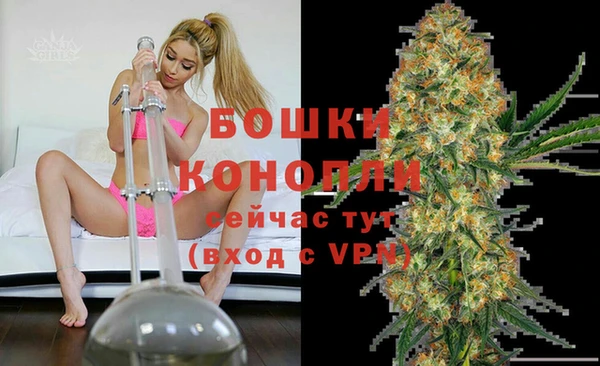 твердый Аркадак