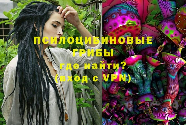 кокс Арсеньев