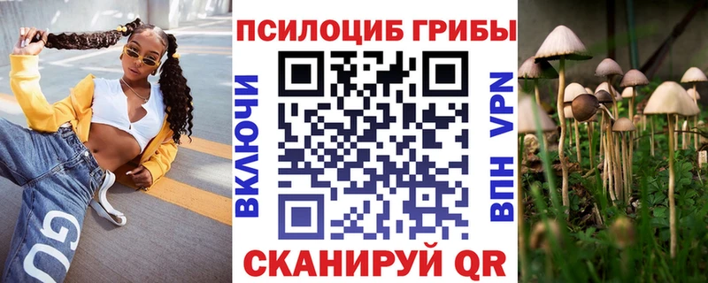 Купить где  Бакал  Псилоцибиновые грибы Psilocybe 
